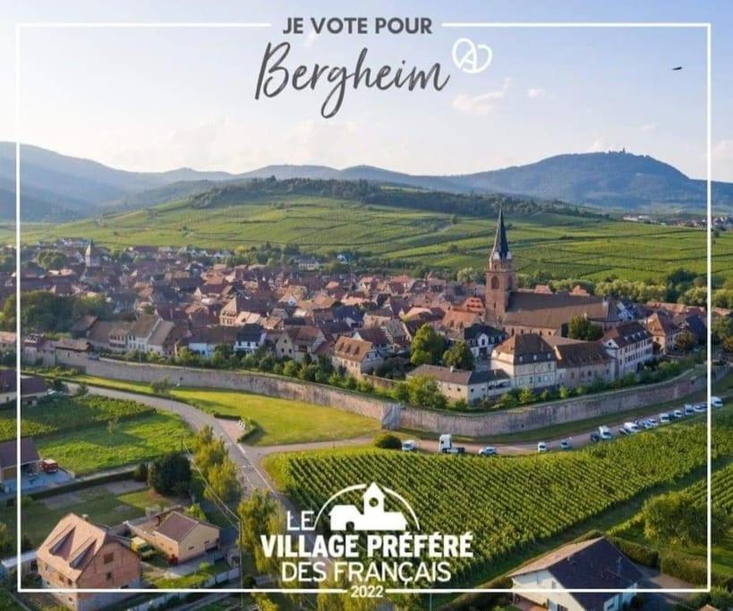 Gite Boniface Pour 2 Pers Bergheim Esterno foto