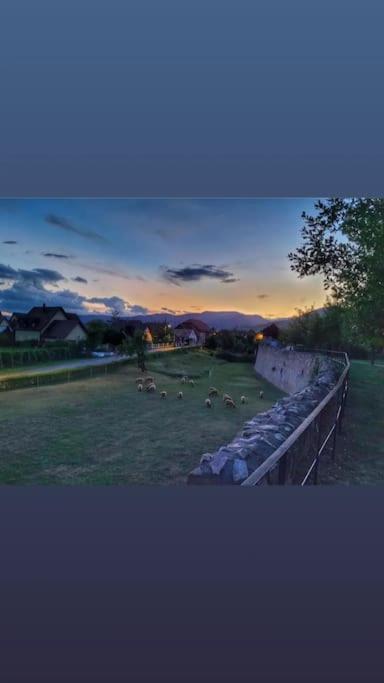 Gite Boniface Pour 2 Pers Bergheim Esterno foto