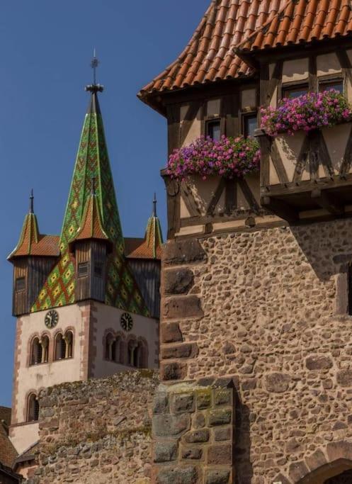 Gite Boniface Pour 2 Pers Bergheim Esterno foto